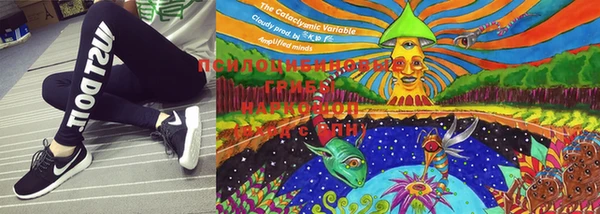 марки lsd Медвежьегорск