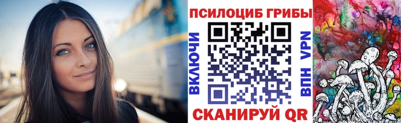 Купить где  Находка  Псилоцибиновые грибы мицелий 